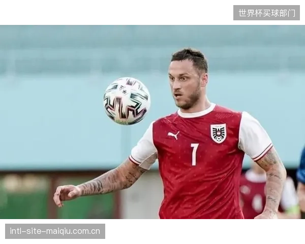 37岁的阿瑙托维奇在国米扮演高效替补角色，其丰富的经验是奥地利更衣室的宝贵财富。